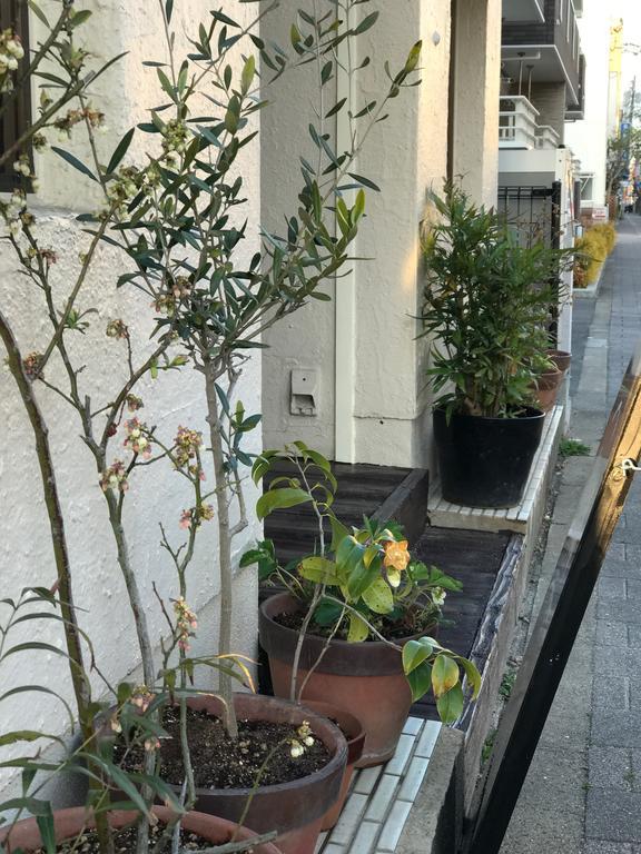 Saga International Guesthouse Hagakure Extérieur photo
